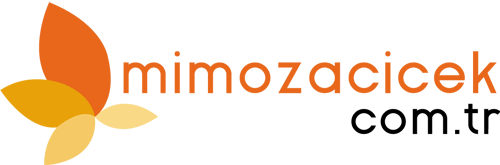 Mimoza Çiçek logo